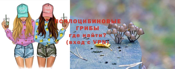 тгк Алексин
